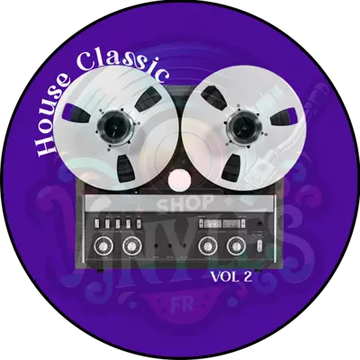 VINYL V.A.-HOUSE CLASSICS VOL.2