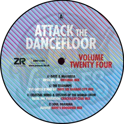 Various-Attack The Dancefloor Volume Twenty Four