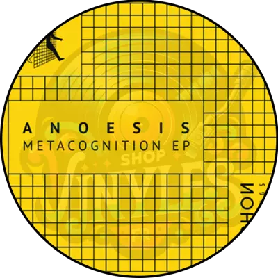 Anoesis-Metacognition EP