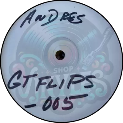 Andrs-GT Flips 313-005