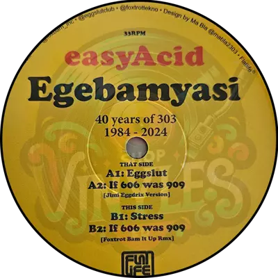 EgeBamYasi-Easy Acid  40 Years of 303 (1984-2024)