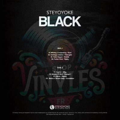 Various - Steyoyoke Black 100