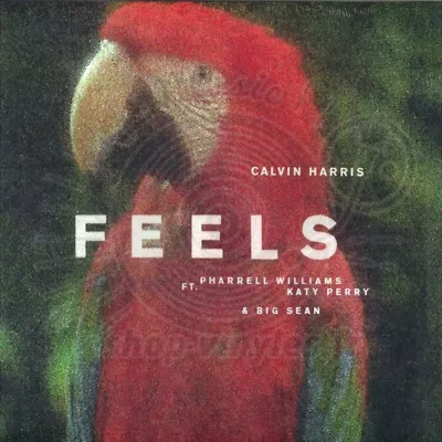 Calvin Harris ft. Pharrell Williams, Katy Perry & Big Sean-Feels