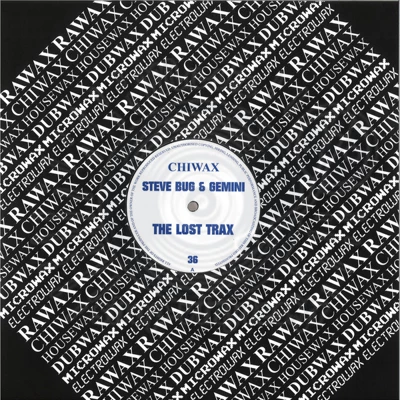 Steve Bug & Gemini-THE LOST TRAX