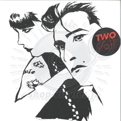 Miss Kittin & The Hacker-Two 2x12