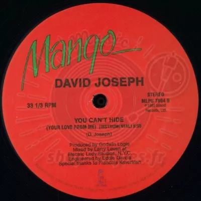 David Joseph-You Can't Hide (your Love..)