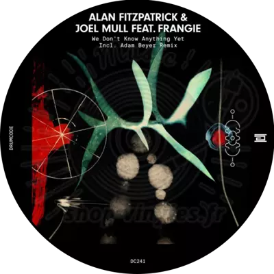 Alan Fitzpatrick & Joel MullFrangie-We Don't Know Anything Yet