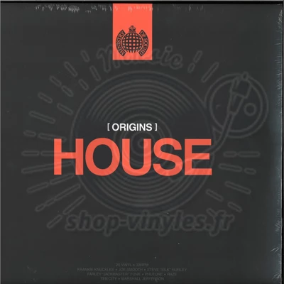 Minsitry Of Sound-ORIGINS OF HOUSE (2x12inch)