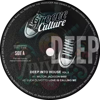 Various-Deep Into House Vol.2